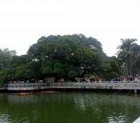 河池福州旅游攻略(福州旅游攻略二日游)