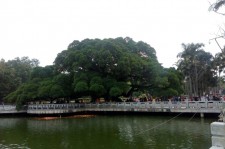 河池福州旅游攻略(福州旅游攻略二日游)