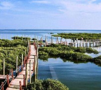 河池旅游哪里好玩(云南旅游哪里好玩)