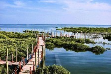 河池旅游哪里好玩(云南旅游哪里好玩)