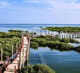 河池旅游哪里好玩(云南旅游哪里好玩)