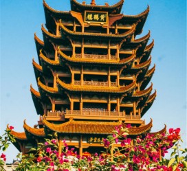 河池武汉游玩攻略(武汉游玩攻略路线)