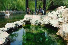 河池济南旅游攻略(青岛威海济南旅游攻略)
