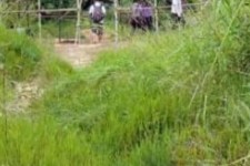 河池苍溪学生做伴游兼职(苍溪学生做伴游兼职怎么样)