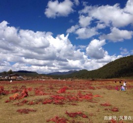 河池旅游去处(暑期最好的旅游去处)