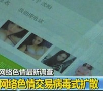 河池上海伴游 伴游女郎白天陪玩晚上陪睡 网络跑火日薪过万(图)