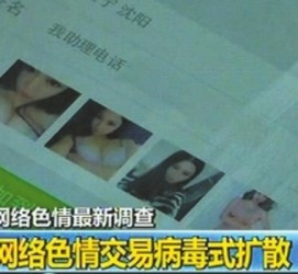 河池上海伴游 伴游女郎白天陪玩晚上陪睡 网络跑火日薪过万(图)