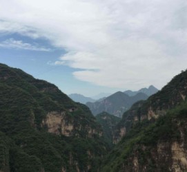 河池伴游中国伴游城(伴游网上海)