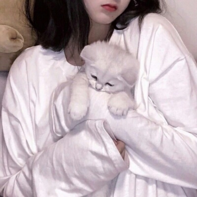 河池伴游女生蕾鮑的资料